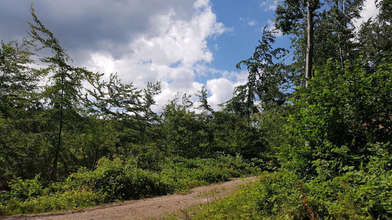 Schöner Weitblick Bad Sachsa Exterior foto